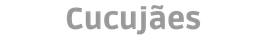 4 (2)